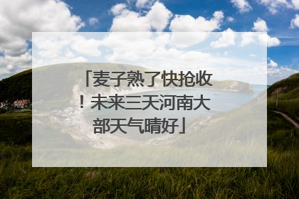 麦子熟了快抢收！未来三天河南大部天气晴好