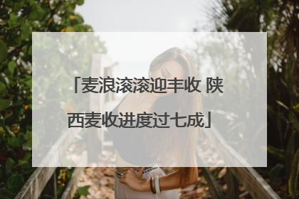 麦浪滚滚迎丰收 陕西麦收进度过七成