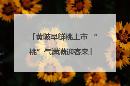 黄陂早鲜桃上市 “桃”气满满迎客来