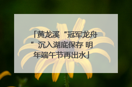 黄龙溪“冠军龙舟”沉入湖底保存 明年端午节再出水