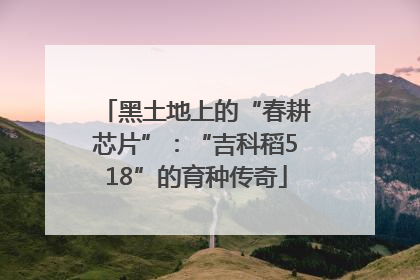 黑土地上的“春耕芯片”：“吉科稻518”的育种传奇