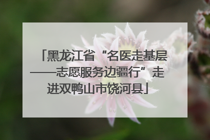 黑龙江省“名医走基层——志愿服务边疆行”走进双鸭山市饶河县