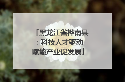 黑龙江省桦南县：科技人才驱动 赋能产业促发展
