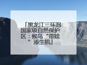 黑龙江三环泡国家级自然保护区：候鸟“带娃”添生机