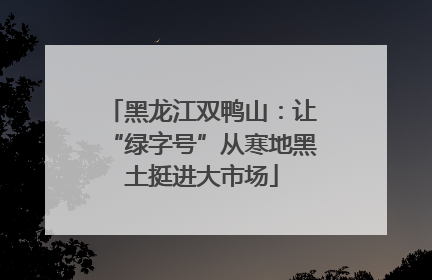 黑龙江双鸭山：让“绿字号”从寒地黑土挺进大市场