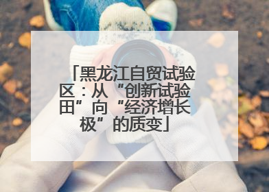 黑龙江自贸试验区：从“创新试验田”向“经济增长极”的质变