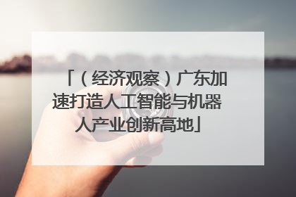 （经济观察）广东加速打造人工智能与机器人产业创新高地