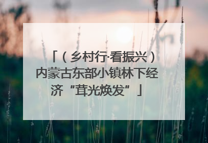 （乡村行·看振兴）内蒙古东部小镇林下经济“茸光焕发”