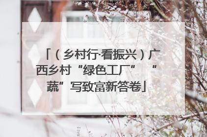 （乡村行·看振兴）广西乡村“绿色工厂” “蔬”写致富新答卷
