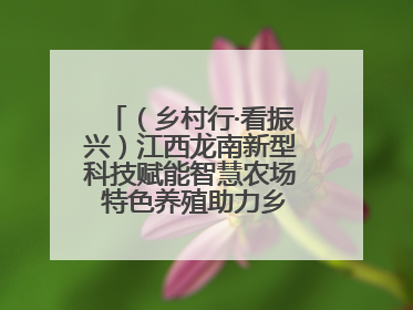 （乡村行·看振兴）江西龙南新型科技赋能智慧农场 特色养殖助力乡村振兴