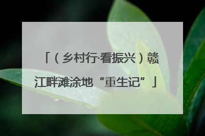 （乡村行·看振兴）赣江畔滩涂地“重生记”