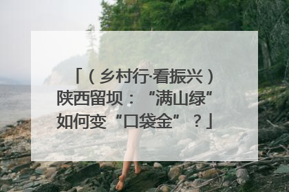 （乡村行·看振兴）陕西留坝：“满山绿”如何变“口袋金”？