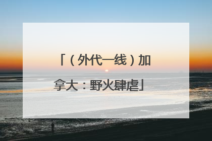 （外代一线）加拿大：野火肆虐