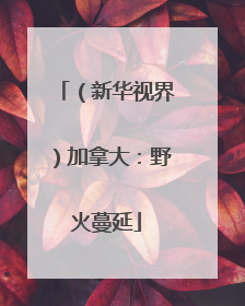 （新华视界）加拿大：野火蔓延