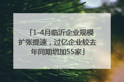 1-4月临沂企业规模扩张提速，过亿企业较去年同期增加55家