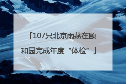 107只北京雨燕在颐和园完成年度“体检”