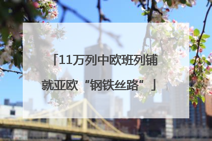 11万列中欧班列铺就亚欧“钢铁丝路”