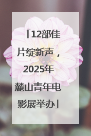 12部佳片绽新声，2025年麓山青年电影展举办