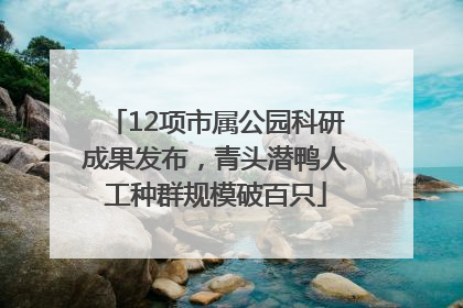 12项市属公园科研成果发布，青头潜鸭人工种群规模破百只