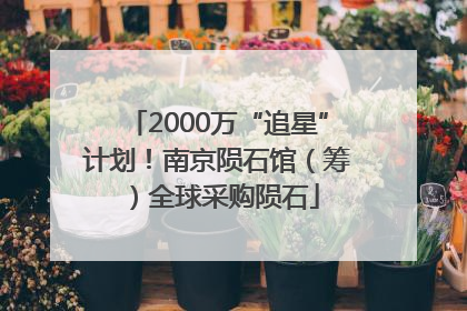 2000万“追星”计划！南京陨石馆（筹）全球采购陨石
