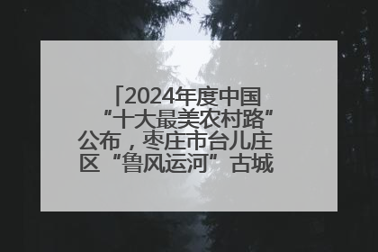 2024年度中国“十大最美农村路”公布，枣庄市台儿庄区“鲁风运河”古城文化廊道上榜！