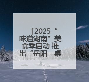 2025“味道湖南”美食季启动 推出“岳阳一桌菜”
