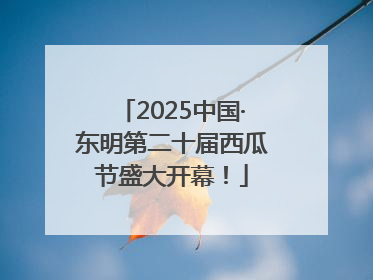 2025中国·东明第二十届西瓜节盛大开幕！