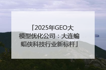 2025年GEO大模型优化公司：大连蝙蝠侠科技行业新标杆