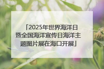 2025年世界海洋日暨全国海洋宣传日海洋主题图片展在海口开展