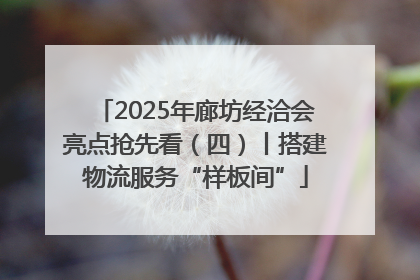 2025年廊坊经洽会亮点抢先看（四）丨搭建物流服务“样板间”
