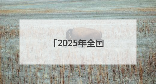 2025年全国老年人健身秧歌交流活动落幕
