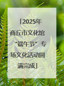 2025年商丘市文化馆“端午节”专场文化活动圆满完成