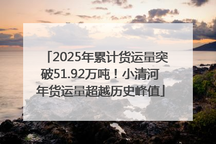 2025年累计货运量突破51.92万吨！小清河年货运量超越历史峰值