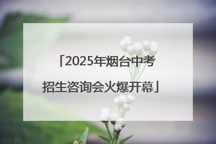2025年烟台中考招生咨询会火爆开幕