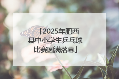 2025年肥西县中小学生乒乓球比赛圆满落幕