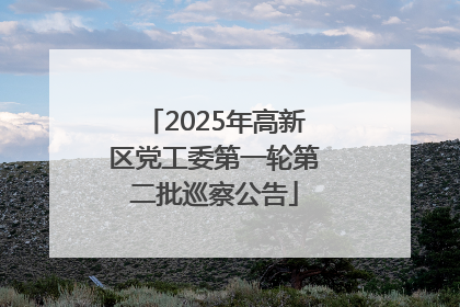 2025年高新区党工委第一轮第二批巡察公告