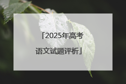 2025年高考语文试题评析