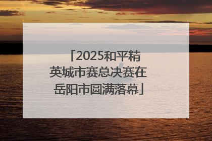 2025和平精英城市赛总决赛在岳阳市圆满落幕