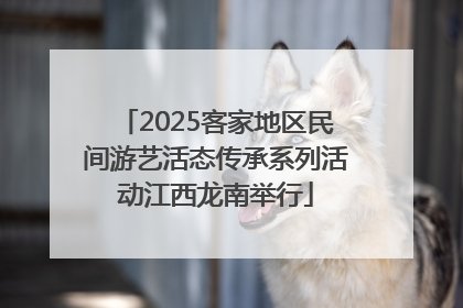2025客家地区民间游艺活态传承系列活动江西龙南举行