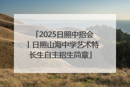 2025日照中招会丨日照山海中学艺术特长生自主招生简章