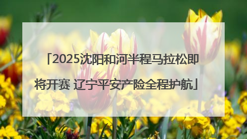 2025沈阳和河半程马拉松即将开赛 辽宁平安产险全程护航