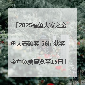 2025福鱼大赛之金鱼大赛颁奖 56尾获奖金鱼免费展览至15日