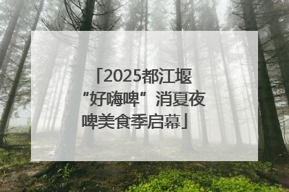 2025都江堰“好嗨啤”消夏夜啤美食季启幕