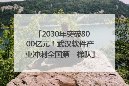 2030年突破8000亿元！武汉软件产业冲刺全国第一梯队
