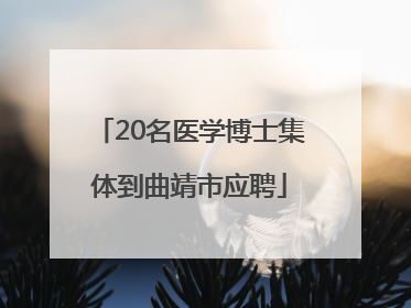 20名医学博士集体到曲靖市应聘