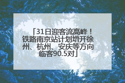 31日迎客流高峰！铁路南京站计划增开徐州、杭州、安庆等方向临客90.5对