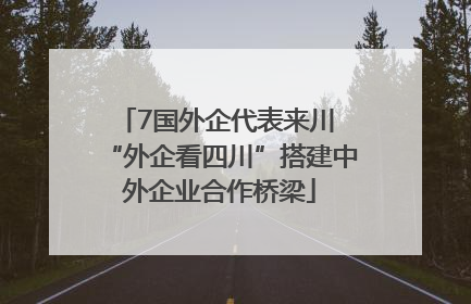 7国外企代表来川 “外企看四川”搭建中外企业合作桥梁