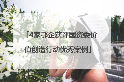 4家鄂企获评国资委价值创造行动优秀案例