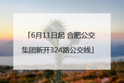 6月11日起 合肥公交集团新开324路公交线