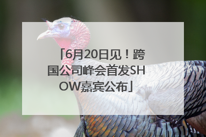 6月20日见!跨国公司峰会首发SHOW嘉宾公布